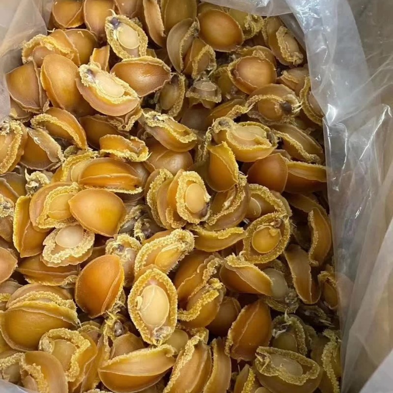 大連海鮮水產干貨鮑魚批發 海味黃金色佛跳墻燉煲湯食材干鮑魚