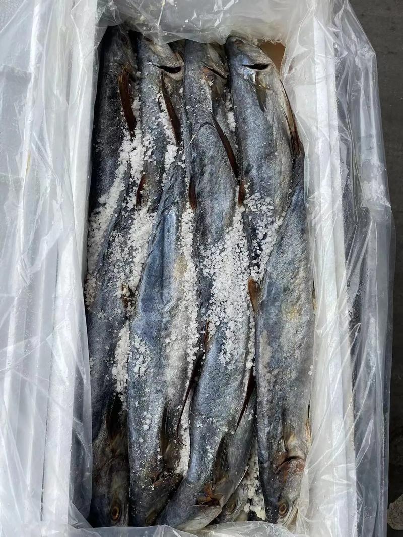 專業(yè)海味干貨批發(fā) 品質(zhì)之選，放心之源