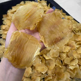 深海臻品，滋補圣味 嘴鳘魚膠與紅雞赤的味蕾饕宴